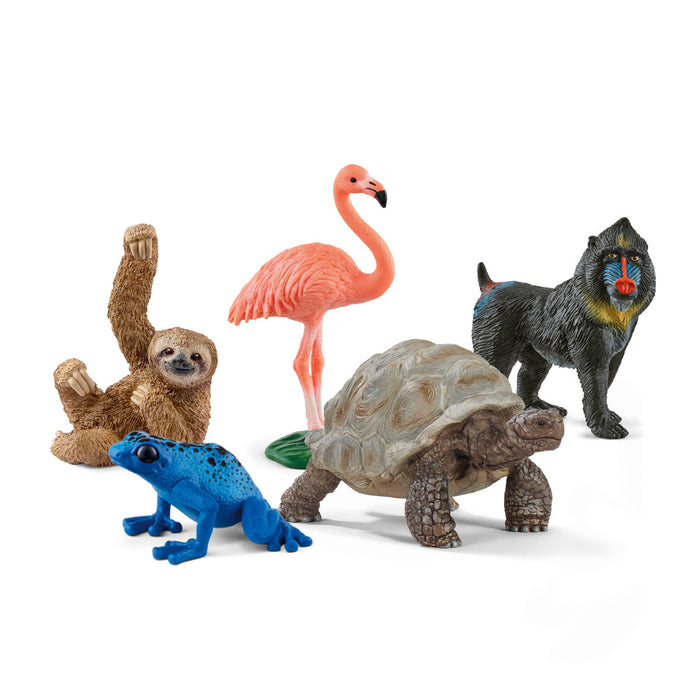 5-Piece Wild Animal Bundle