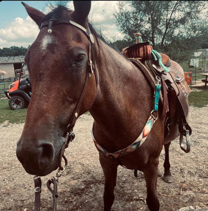 Aztec print tack set reins, cinch strap, breast collar nylon horse size