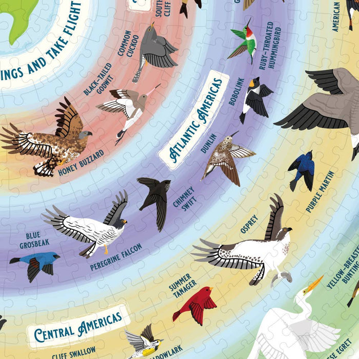 Bird Lover’s