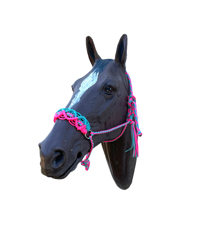Braided horse halter with lead hot pink and light teal - Tiffanys Braided Tack LLC