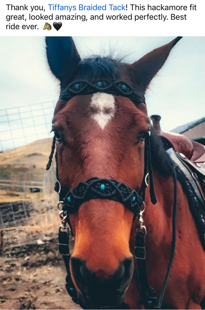 complete Bitless bridle side pull hackamore in my beaded style - Tiffanys Braided Tack LLC