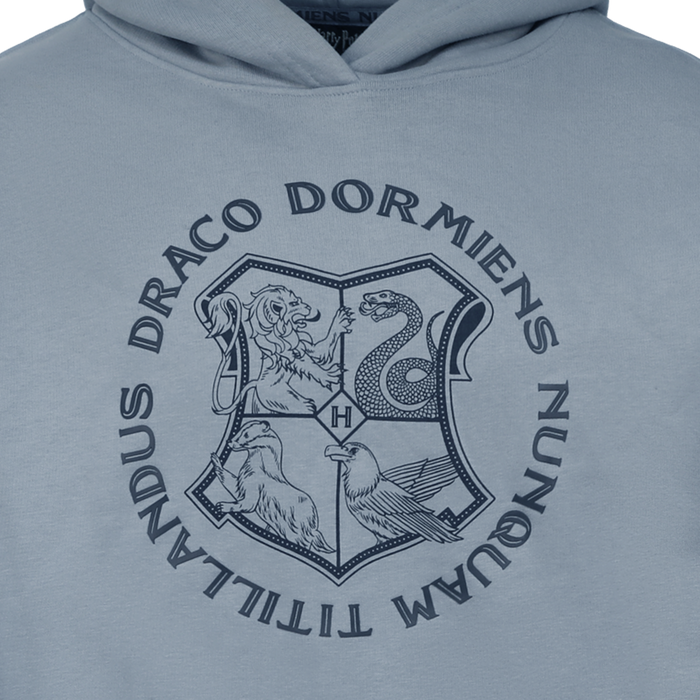 Hogwarts Crest Online Exclusive Hoodie