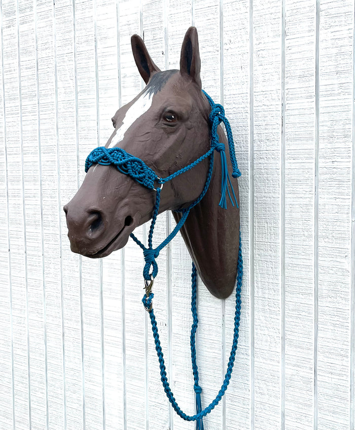 Braided horse halter with lead - Tiffanys Braided Tack LLC