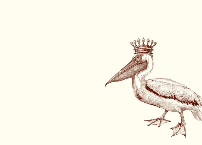 King Pelican Notes