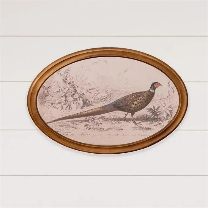 Oval Framed Pheasant Print 16 x 24