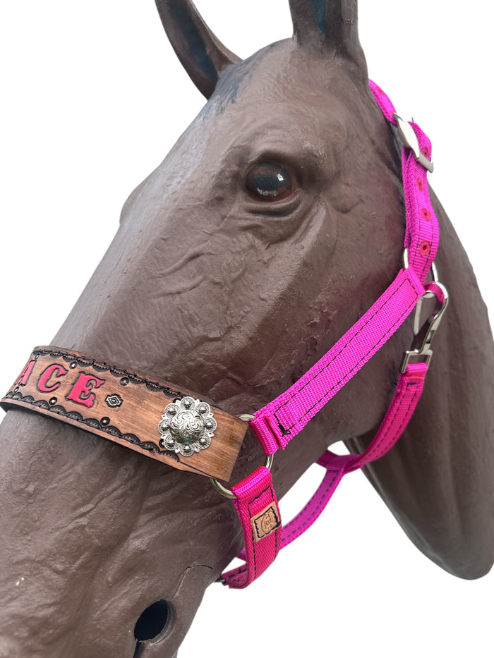 PERSONALIZED nylon horse halter fuchsia.