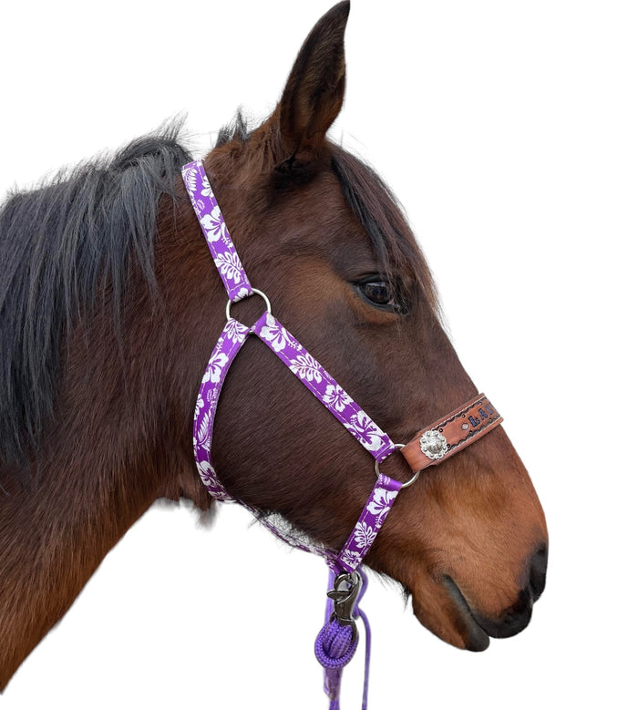 PERSONALIZED purple nylon horse halter