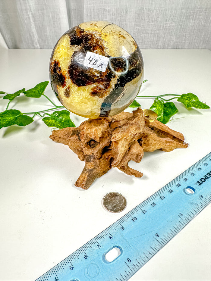 Septarian Sphere (48X)