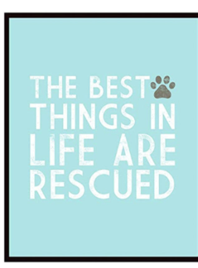 Framed (White 11x14 Frame w/ white matting / The Best Things In Life Are Rescued