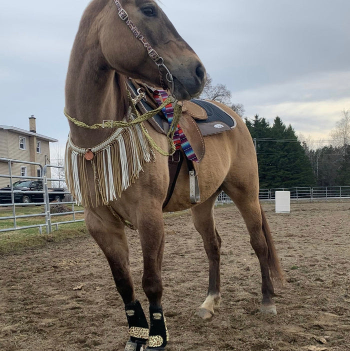 White and gold fringe tack set
