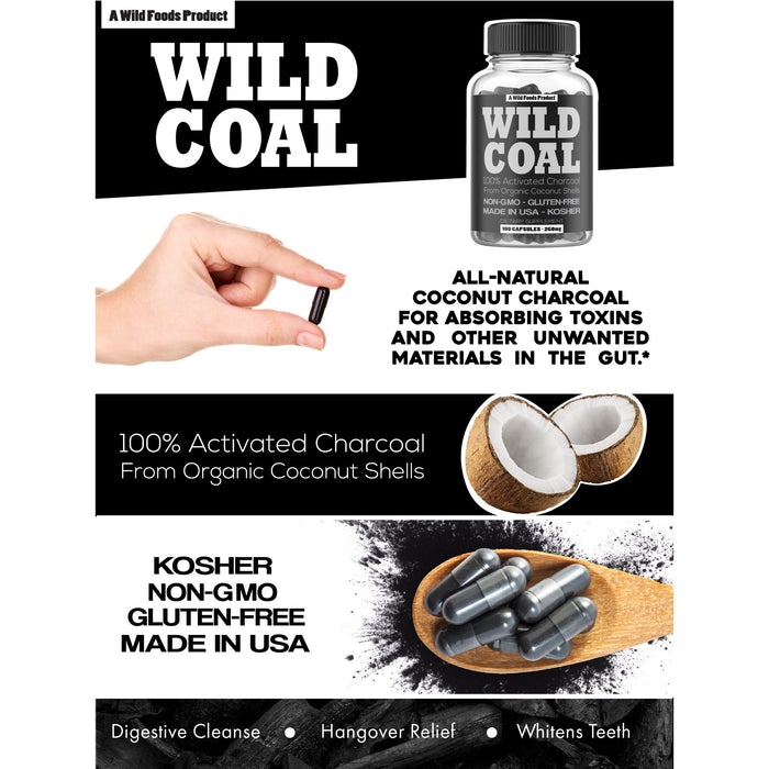 Activated Charcoal Capsules, 120ct Case of 12 Wholesale Wild Foods
