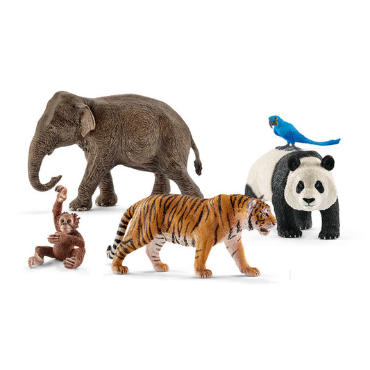 5-Piece Wild Life Jungle Bundle