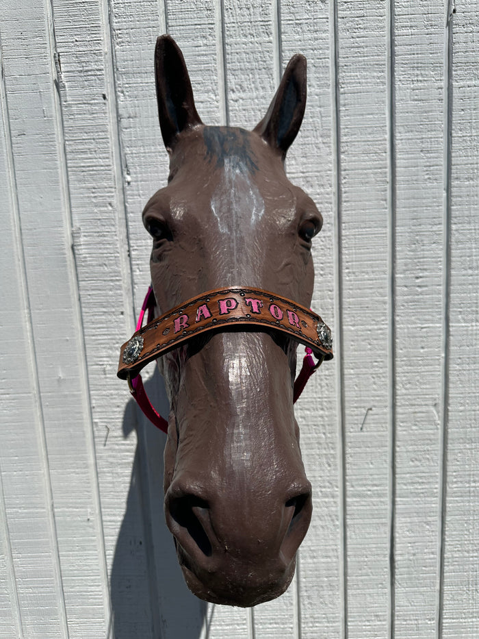 PERSONALIZED   nylon horse halter fuchsia.