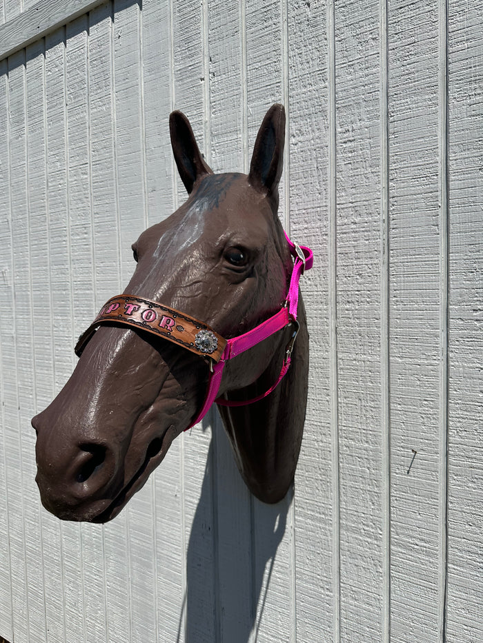 PERSONALIZED   nylon horse halter fuchsia.