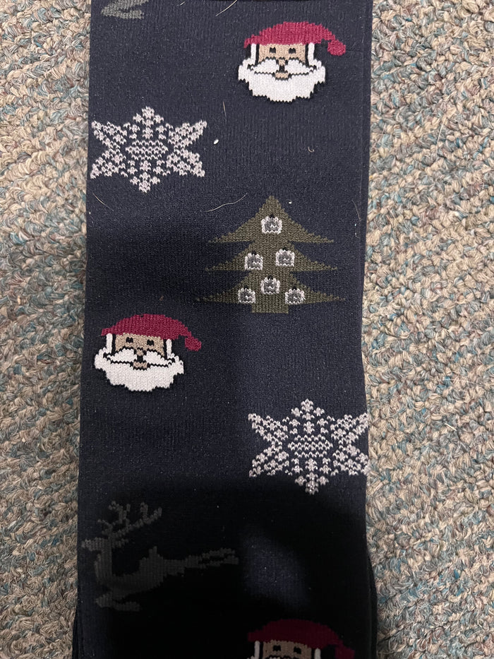 Santa Sock