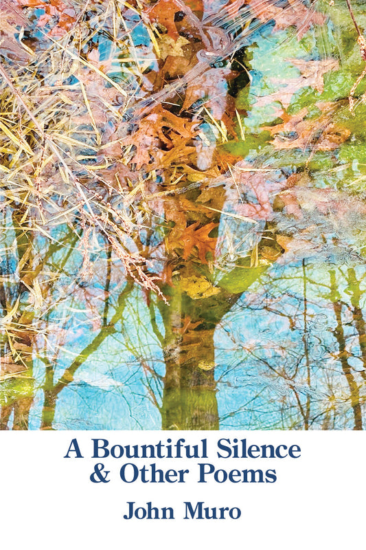 A Bountiful Silence & Other Poems