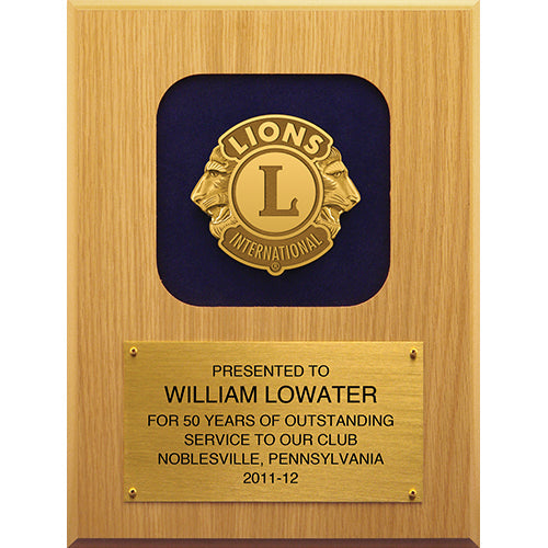 ALL PURPOSE AWARD PLAQUE