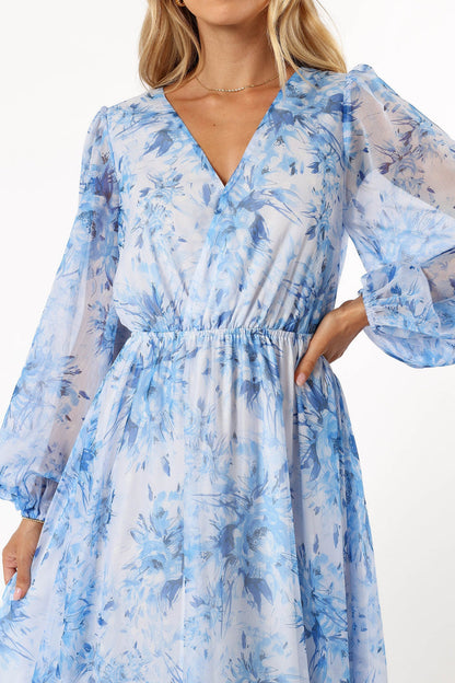 Petal and Pup USA DRESSES Anisa Maxi Dress - Blue Floral
