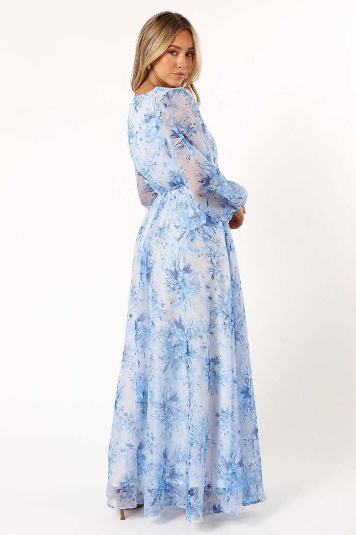 Petal and Pup USA DRESSES Anisa Maxi Dress - Blue Floral