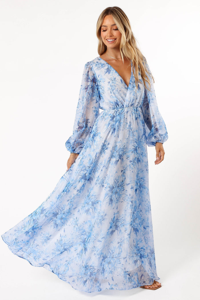 Petal and Pup USA DRESSES Anisa Maxi Dress - Blue Floral