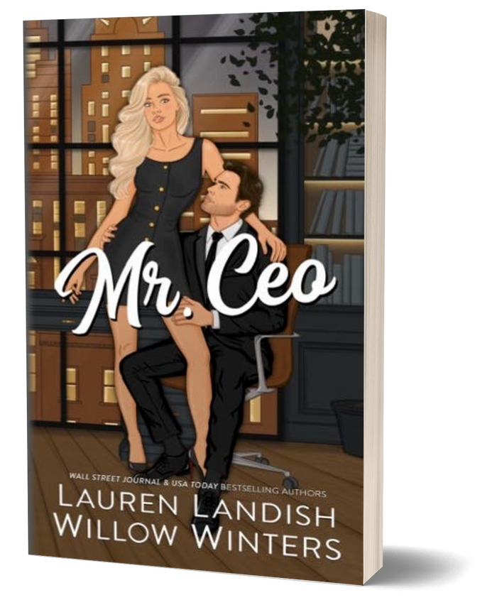 MR. CEO / Paperback