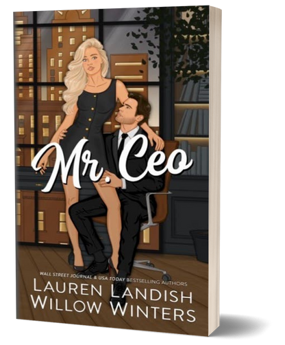 MR. CEO / Paperback