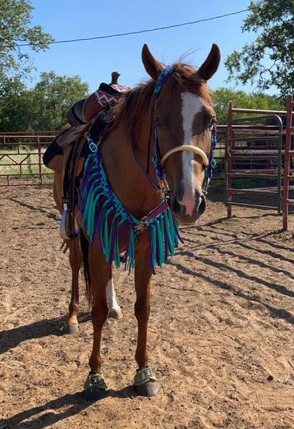 Average horse breast collar set mule tape teal and  purple