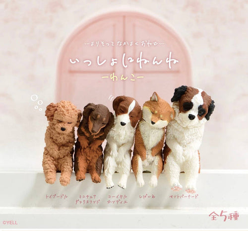 BCmini - Sleeping Dogs 1pc Blind Box