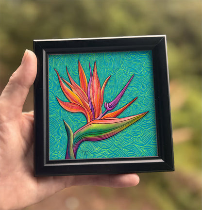 Bird of Paradise Framed Art