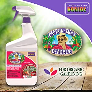 Bonide Captain Jack's Dead Bug Brew RTU QT