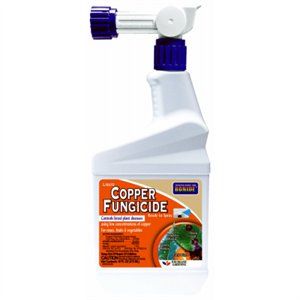 Bonide Copper Fungicide RTS