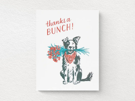 Border Collie Thank You Greeting Cards, Box of 8