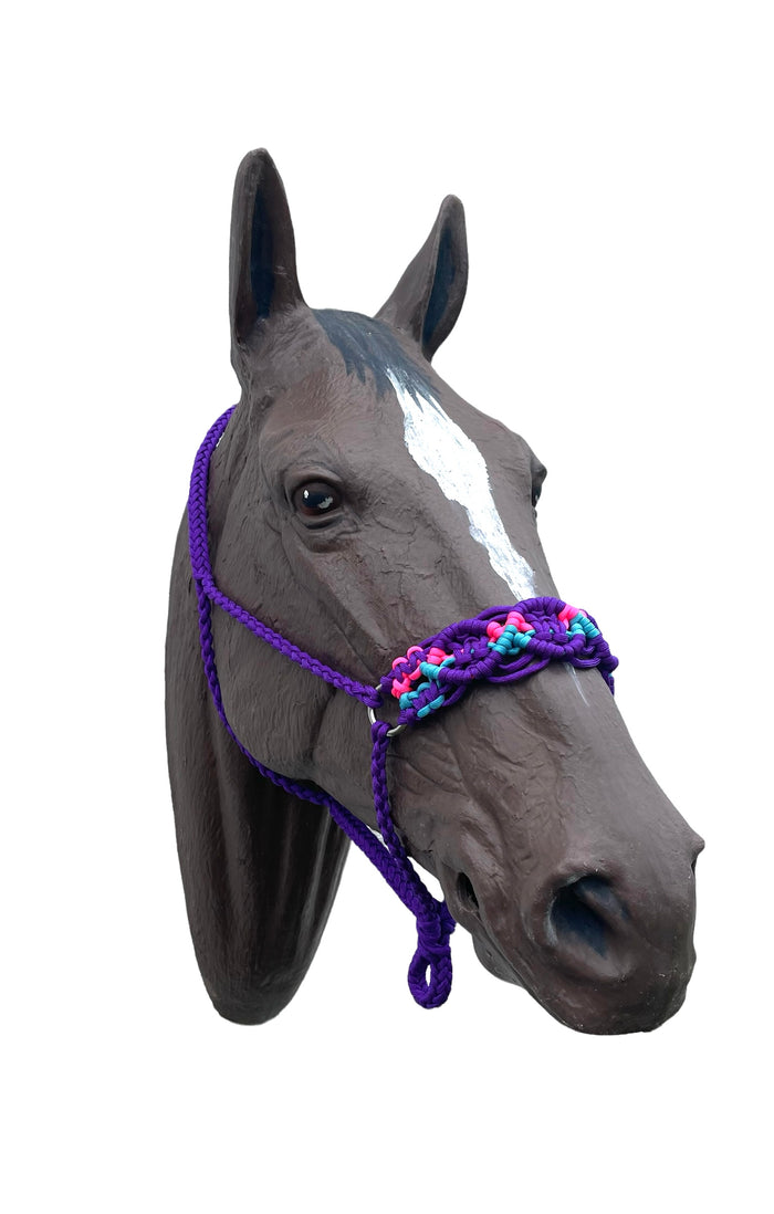 Braided horse halter purple