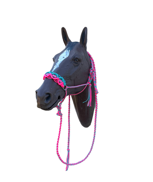 Braided horse halter with lead hot pink and light teal - Tiffanys Braided Tack LLC