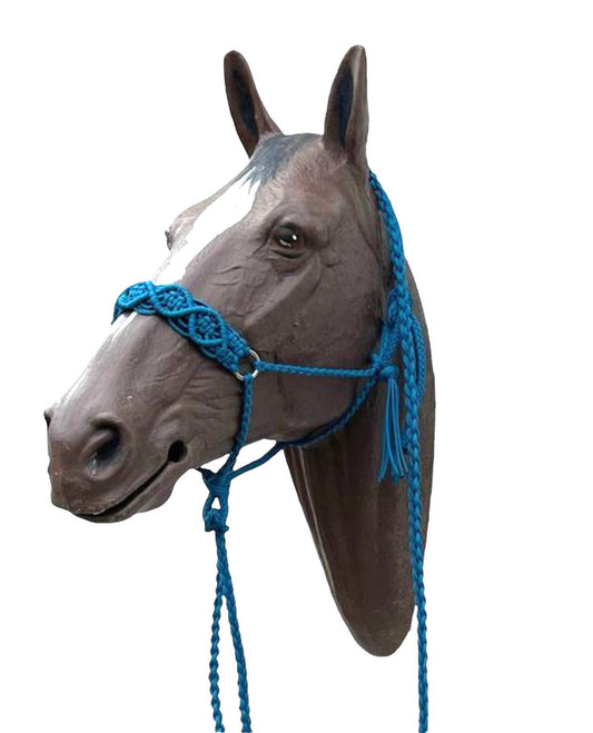Braided horse halter with lead - Tiffanys Braided Tack LLC