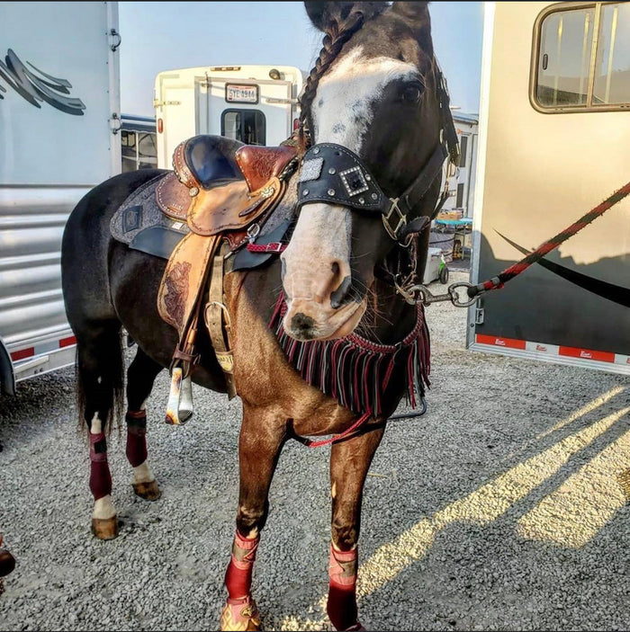 Burgundy and gold  Tack set