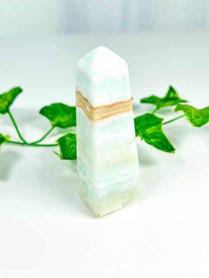 Caribbean Calcite Tower (CC26)
