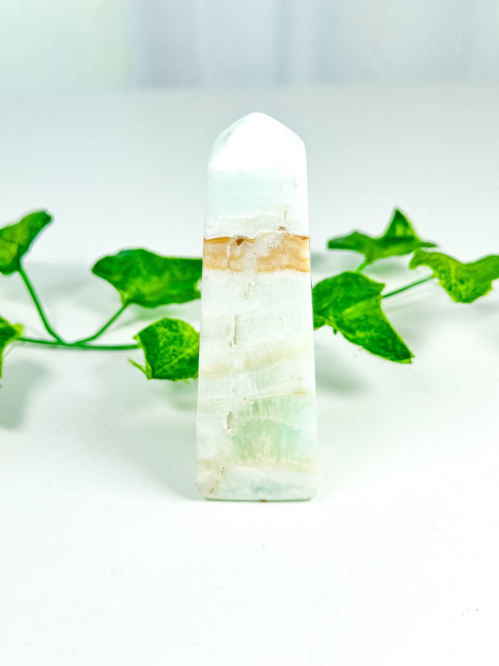 Caribbean Calcite Tower (CC26)