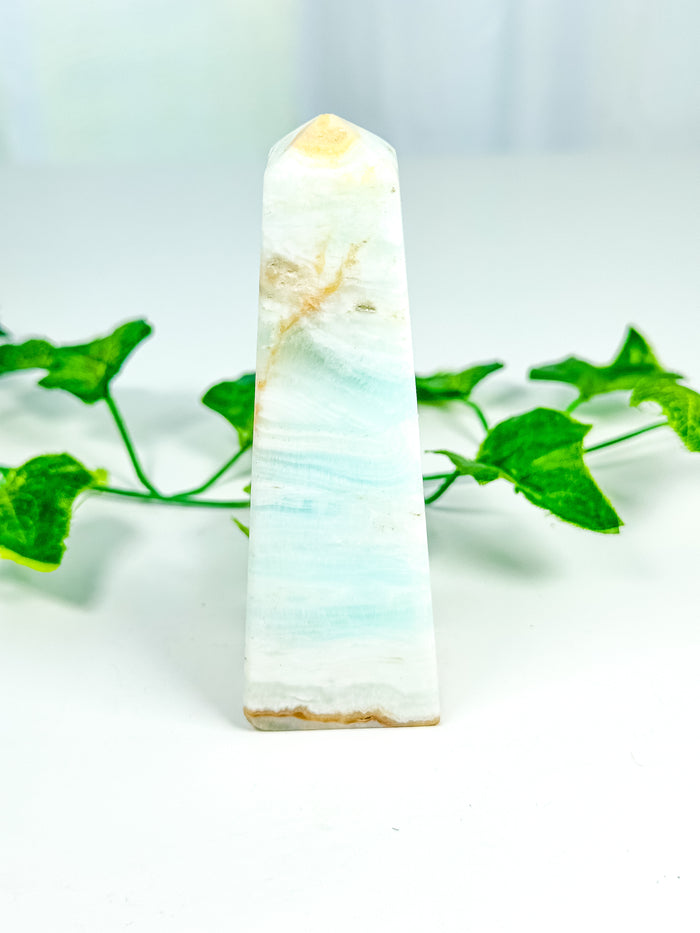 Caribbean Calcite Tower (CC32)