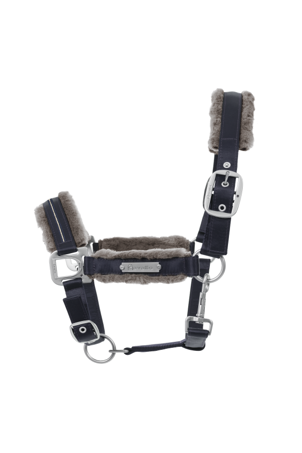 Cavallo Dark Blue