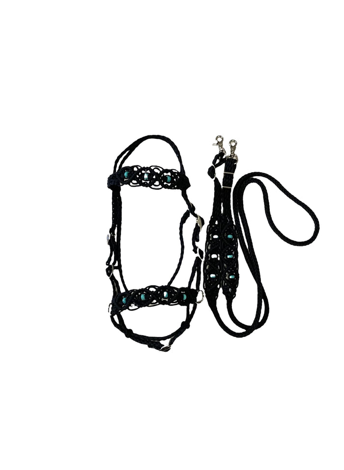 complete Bitless bridle side pull hackamore with turquoise howlite in my beaded  style