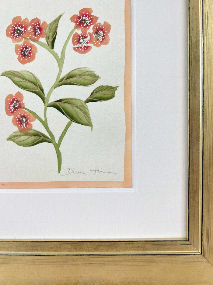 English Daisy - Coral - Diane Hill