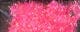 Pearl Hot Pink