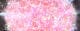 Pearl Shrimp Pink