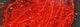Estaz Medium 15mm Hareline Dubbin Hot Orange Fly Tying Rivers and Glen Trading Co