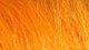 Bright Orange