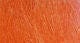 Burnt Orange