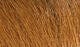 Extra Select Craft Fur Hareline Dubbin Orangutan Rust Fly Tying Rivers and Glen Trading Co