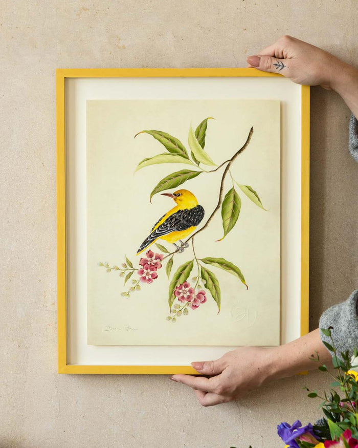 Golden Oriole Embellished Art Print - Diane Hill