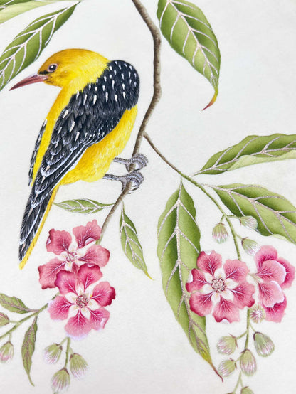 Golden Oriole Embellished Art Print - Diane Hill